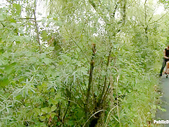 Euro Babe Disgraced In The Streets - PublicDisgrace