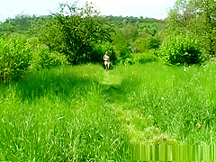 Hottest pornstar in amazing brunette, outdoor sex clip