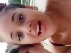 Torilori mori  periscope