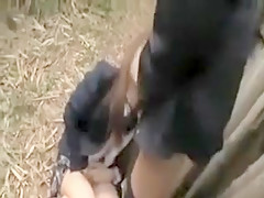 Amazing Upskirts sex movie
