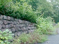 Crazy Japanese model in Exotic Small Tits JAV movie