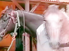 Riding Lessons, Scene 2