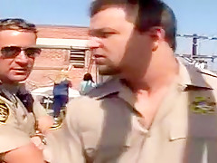 Scenes From A Cell, Scene 2