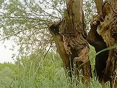 Amazing amateur European, Outdoor adult video