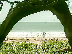 Hawaii, Scene 3