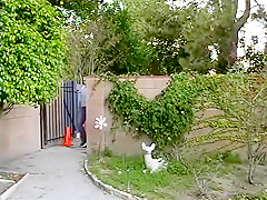 Invasion Of The Porno Shooters, Scene 4