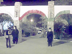 Christina Carter & Dana DeArmond & Lola & Dee Williams & Lew Rubens in Extra Weekend Bonus Update - HogTied