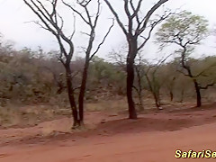 african safari outdoor fuck