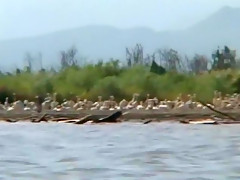 Exotic homemade Solo Girl, Outdoor porn movie