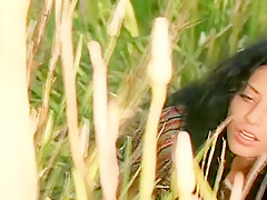 The Jungle, Scene 1