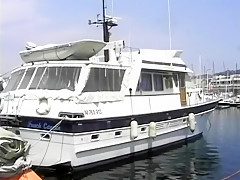 Cannes Report, Scene 1