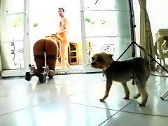 Ass Titans #6, Scene 5