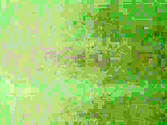 The Jungle, Scene 4
