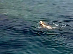 Horny homemade Celebrities, Beach porn movie