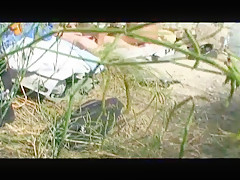 Am Strand von 2 MILFs geblasen - bostero