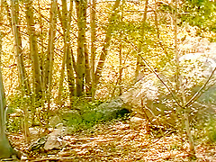 Extreme Close Up: Kira Kenner, Scene 5