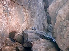 Fabulous homemade Beach, Celebrities adult scene