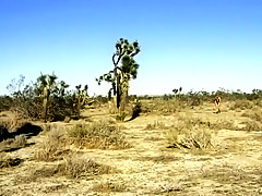 Mosenalarm, Scene 3