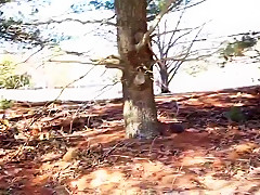 Crazy Japanese whore in Exotic Brunette JAV clip