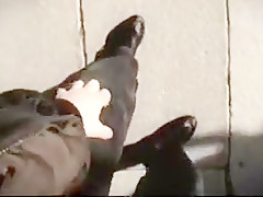 Crazy Exhibitionism, POV adult clip