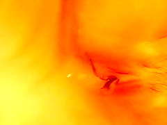 Best Group Sex, Cunnilingus porn clip
