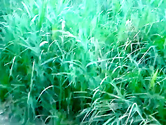 Best Outdoor, Creampie xxx scene