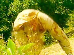 Fabulous Outdoor porn movie