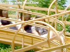 Fabulous Cumshot, Outdoor sex clip