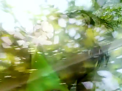 Fabulous Cumshot sex clip