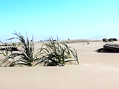 Incredible Unsorted, Exhibitionism porn scene