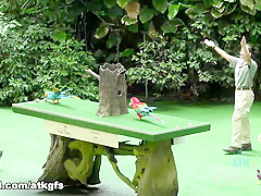 Elena Koshka in You Take Elena To The Wild Animal Park After She Gets Wild - ATKGirlfriends