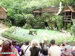 Elena Koshka in You Take Elena To The Wild Animal Park After She Gets Wild - ATKGirlfriends