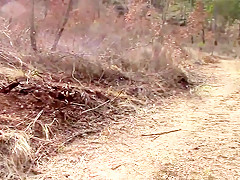 Exotic Public, Nudist sex movie