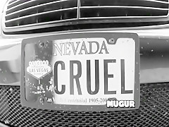 Fabulous Gaping, Ass adult movie