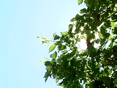 Hottest Japanese whore in Best Softcore, Outdoor JAV clip