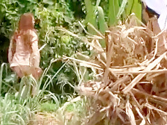 Crazy Japanese chick Hitomi Tanaka in Best Outdoor, Stockings JAV clip