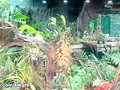 Moka Mora in You Love It When A Girl Can Appreciate All The Beauty And Culture - ATKGirlfriends