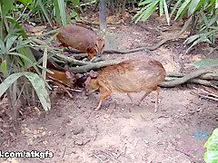 Moka Mora in You Love It When A Girl Can Appreciate All The Beauty And Culture - ATKGirlfriends