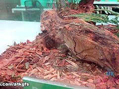 Moka Mora in You Love It When A Girl Can Appreciate All The Beauty And Culture - ATKGirlfriends