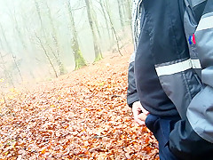 a cold morning walk in the woods