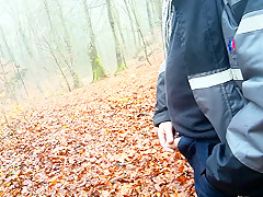 a cold morning walk in the woods