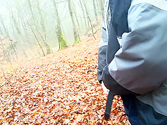 a cold morning walk in the woods