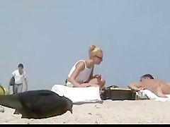 Nude beach - superb babes like the attention