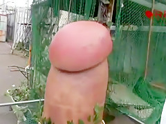 Horny Japanese chick Wakana Kinoshita in Incredible Outdoor, Voyeur JAV scene