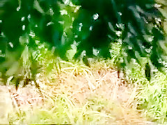 Riam thaivintage movies (full movies)