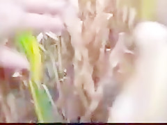 Busty amateur maize play