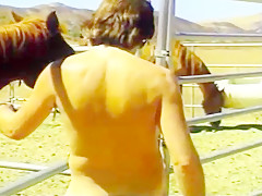 Oldies but goldies 470