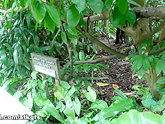 Elena Koshka in Elena Enjoys The Zoo, But Wants You To Feed Her Pussy Some Bananas - ATKGirlfriends