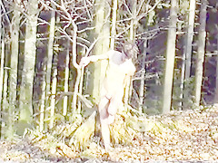 Naked outdoor 3