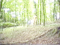 Naked outdoor 3
